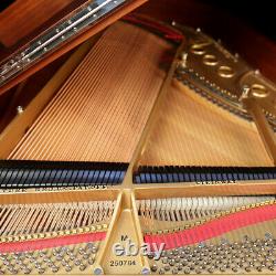 Steinway Grand Piano- Model M