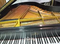 Steinway Grand Piano Model M