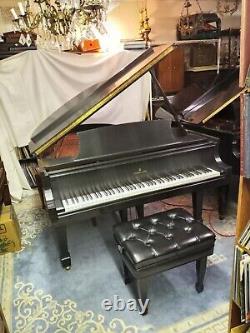 Steinway Grand Piano Model M