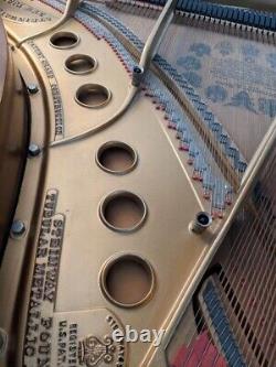 Steinway Grand Piano Model M (Walnut)