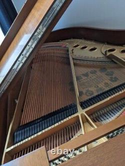 Steinway Grand Piano Model M (Walnut)