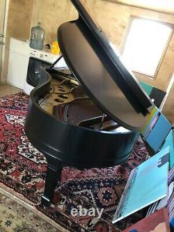 Steinway Grand Piano Model O