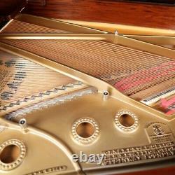Steinway Grand Piano- Model O