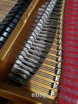 Steinway Grand Piano Model O Fully Restored in and out