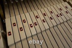 Steinway Grand Piano, Rare Louis XV, Model B, FREE Shipping Canada & USA