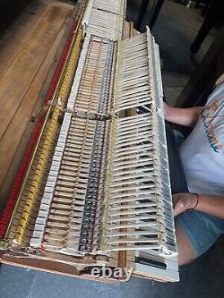 Steinway L Grand Piano Meticulous