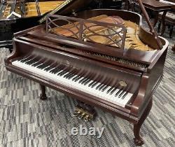 Steinway M 5'7 Chippendale Grand Piano Picarzo Pianos Mahogany Model 1997