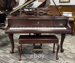 Steinway M 5'7 Chippendale Grand Piano Picarzo Pianos Mahogany Model 1997