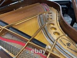 Steinway M 5'7 Chippendale Grand Piano Picarzo Pianos Mahogany Model 1997