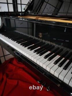 Steinway M 5'7 Ebony Gloss/see Video/just Rebuilt/refinished New Steinway Parts