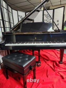 Steinway M 5'7 Ebony Gloss/see Video/just Rebuilt/refinished New Steinway Parts