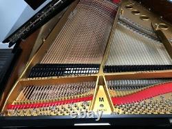 Steinway M 5'7 Grand Piano Picarzo Pianos Polished Ebony Model VIDEO