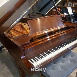 Steinway Model A 6'4 Satin Dark Walnut Grand Piano (with Bench, Warranty & More)