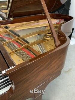 Steinway Model A (A3) 6'4 Grand Piano VIDEO Between L, O and B VERY RARE