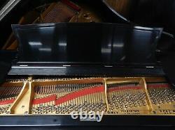 Steinway Model A Grand Piano 1895