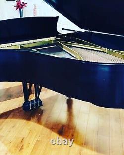 Steinway Model A Grand Piano Ebony Satin Finish