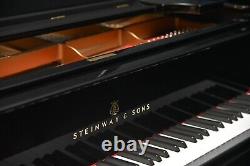 Steinway Model AIII (6' 4 1/5) 1916 High Polish Ebony Rebuilt to perfection