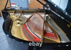 Steinway Model AIII (6' 4 1/5) 1916 High Polish Ebony Rebuilt to perfection