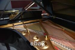 Steinway Model AIII (6' 4 1/5) 1916 High Polish Ebony Rebuilt to perfection