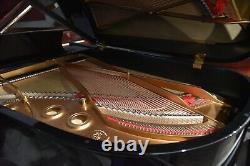 Steinway Model AIII (6' 4 1/5) 1916 High Polish Ebony Rebuilt to perfection