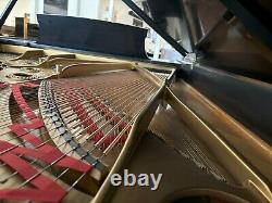 Steinway Model B 1952