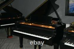 Steinway Model B 2008 Very Long Sustain, 25 B's for you. Pick your Dream B