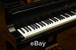 Steinway Model B 2009 Classic withsome darkness, Pianodisc Player System included