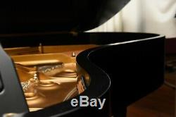 Steinway Model B 2009 Classic withsome darkness, Pianodisc Player System included