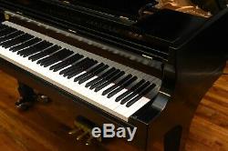Steinway Model B 2011 Classic, Comes with Pianodisc Player System