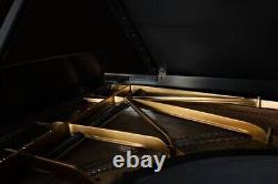 Steinway Model B 6'11 Ebony Satin Grand Piano (incl. Tax) $42,500