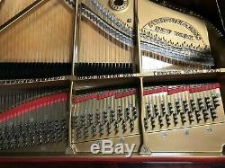 Steinway Model B 6'11 Grand Piano Between A and D VERY RARE VIDEOS