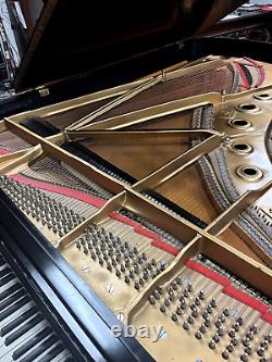 Steinway Model B Grand Piano