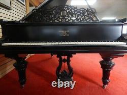 Steinway Model B Grand Piano 1905