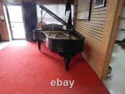Steinway Model B Grand Piano 1905