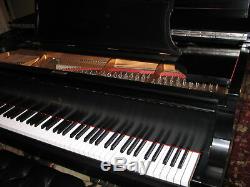 Steinway Model B Grand Piano 1921 complete restoration with sndbrd by James Reeder