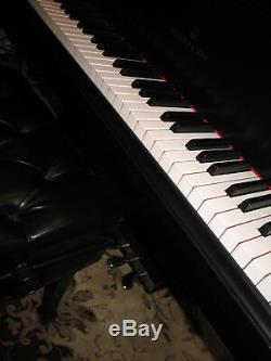 Steinway Model B Grand Piano 1921 complete restoration with sndbrd by James Reeder