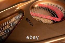 Steinway Model B Grand Piano Ebony Satin 1983 Pristine Condition One Owner