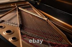 Steinway Model B Grand Piano Ebony Satin 1983 Pristine Condition One Owner