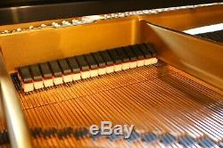 Steinway Model B Victorian Grand Piano Beautiful Ebony Lacquer Rebuilt