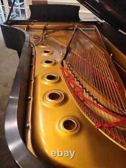 Steinway Model D Concert Grand, Peter Nero's Personal Piano