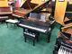 Steinway Model D Concert Grand Piano Fully Restored Wow