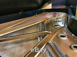 Steinway Model D Concert Grand Piano Fully Restored WOW
