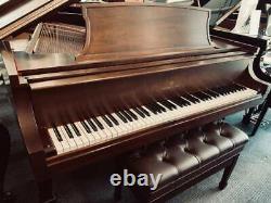 Steinway Model L 5'10 Walnut Satin Grand Piano