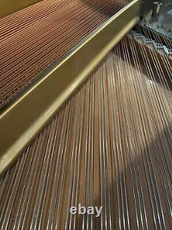 Steinway Model L 5 11 Chippendale Perfct Condiitn