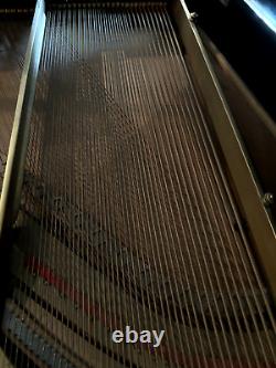 Steinway Model M Grand Piano