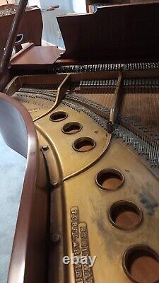 Steinway Model M Grand Piano 1913