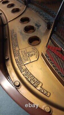 Steinway Model M Grand Piano 1913