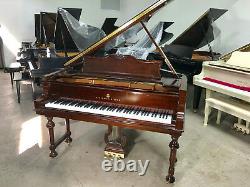 Steinway Model M Grand Piano Rare Art Case Free Shipping