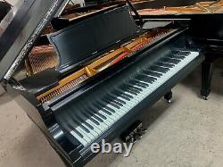 Steinway Model O Grand Piano Meticulous