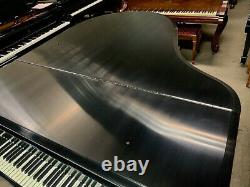 Steinway Model O Grand Piano Meticulous